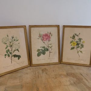 3 gravures botaniques “Redouté”